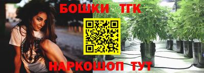 твердый Новодвинск