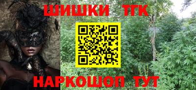 твердый Новодвинск