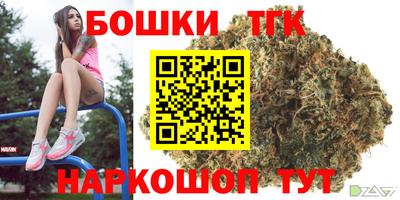 твердый Новодвинск