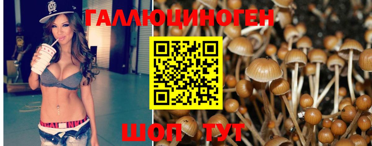 Галлюциногенные грибы мицелий Свободный