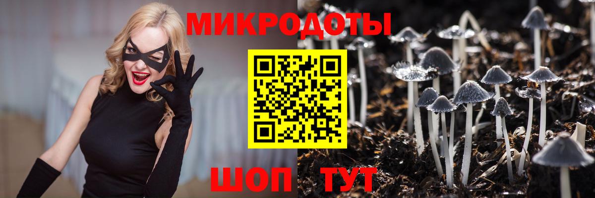 Галлюциногенные грибы Cubensis  Псилоцибиновые грибы мухоморы  Свободный  Вход с VPN 